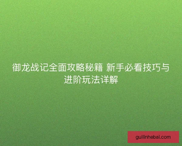 御龙战记全面攻略秘籍 新手必看技巧与进阶玩法详解